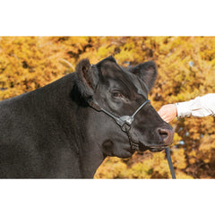 Weaver Livestock leather texture close-up highlighting durable bridle leather benefit