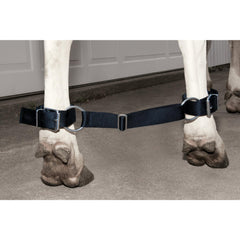 Weaver Livestock neoprene cuff close-up highlighting padded comfort and reduced rubbing on cow legs