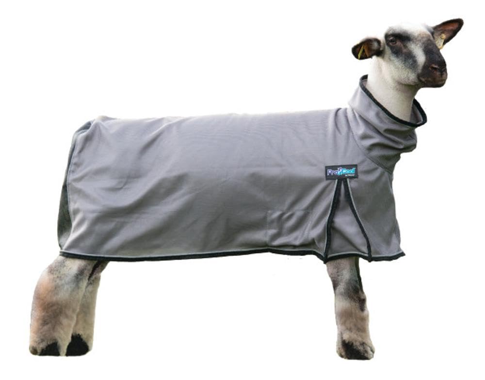 Weaver Livestock ProCool front view showing reflective piping and breathable mesh benefits
