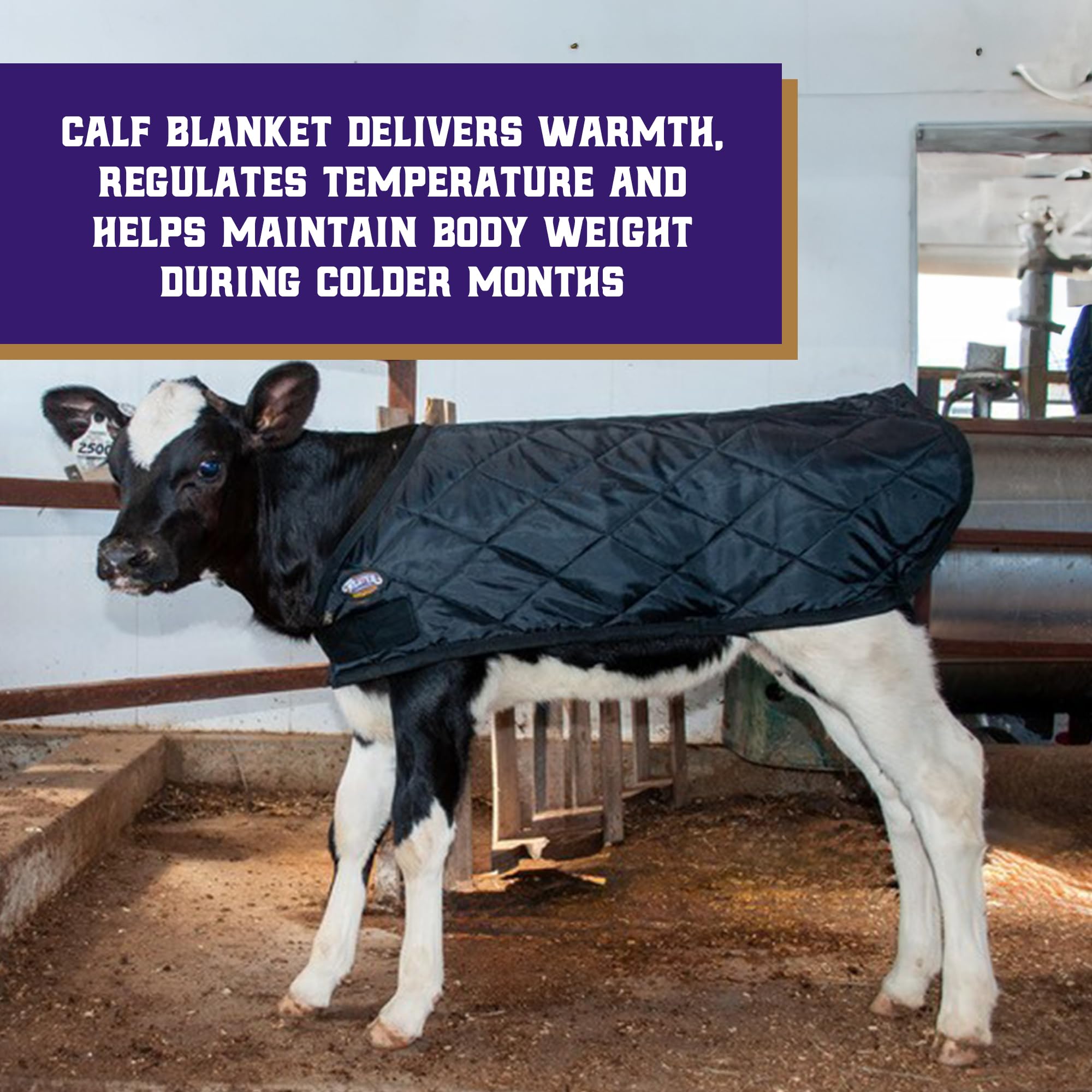 Weaver Livestock close-up quilted texture for warmth and comfort