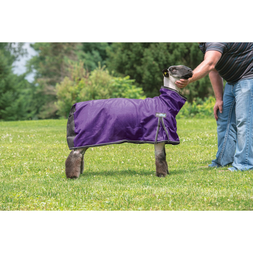 Weaver Livestock belly strap detail with hidden pocket to prevent rubbing and chafing