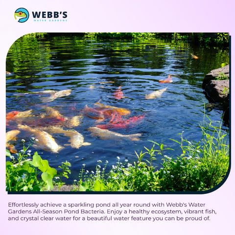 Webb's Water Gardens packet near koi and plants showing safe-for-fish benefit