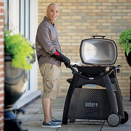 Weber Q Cart with Weber Q grill at a picnic showing portability benefit grilling on the go