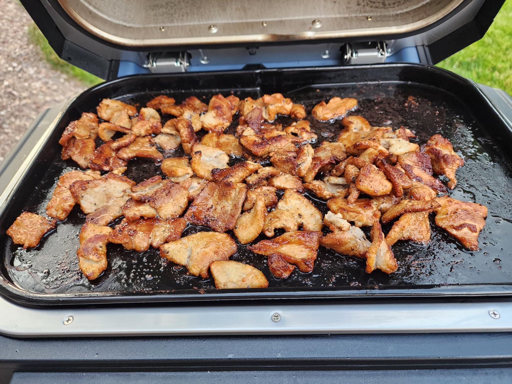 WEBROIL griddle held next to hand showing 17.8x12.3 inch scale benefit