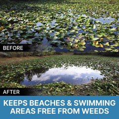 Weed Razer in water cutting weeds near dock for clearer access benefit