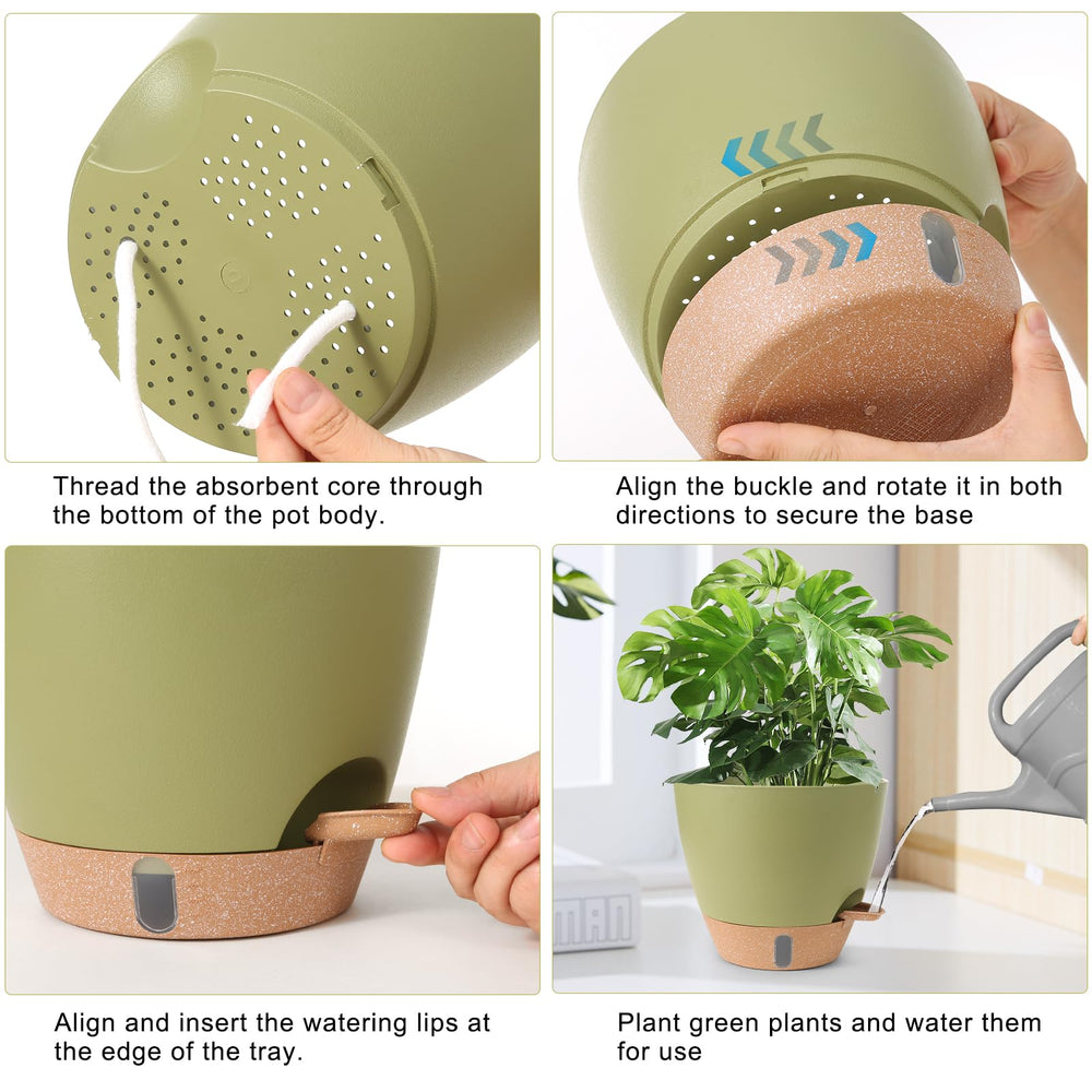 WEICHENGXING 12-inch pot with monstera demonstrating stable large-plant support