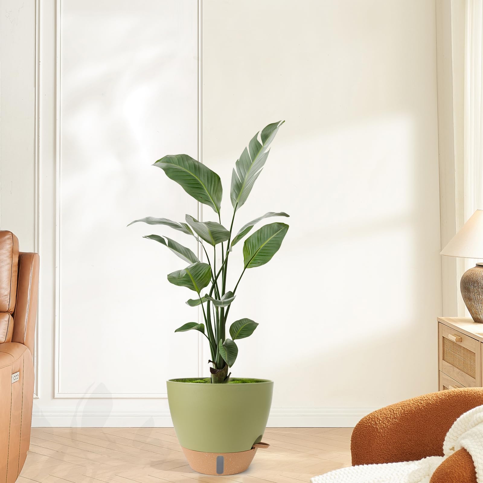 WEICHENGXING removable inner insert for simple repotting and cleaning