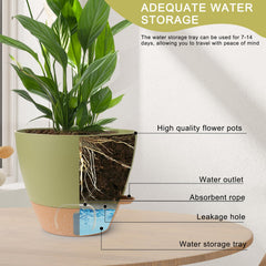 WEICHENGXING wick and reservoir detail showing steady moisture delivery