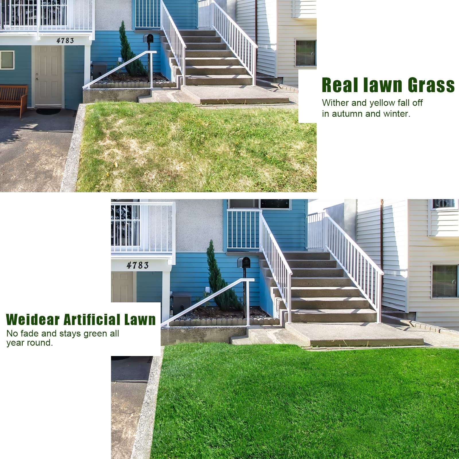 Weidear turf beside a ruler showing 4ft x 6ft scale and accurate sizing benefit