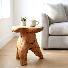 WELLAND cedar stump side profile showing organic shape and stability