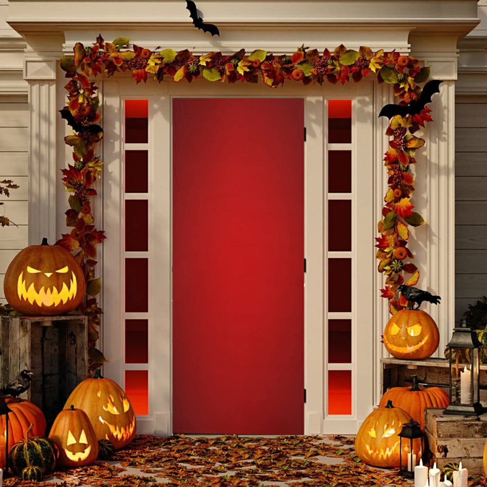 WELLDAY door cover beside a standard door showing size and scale