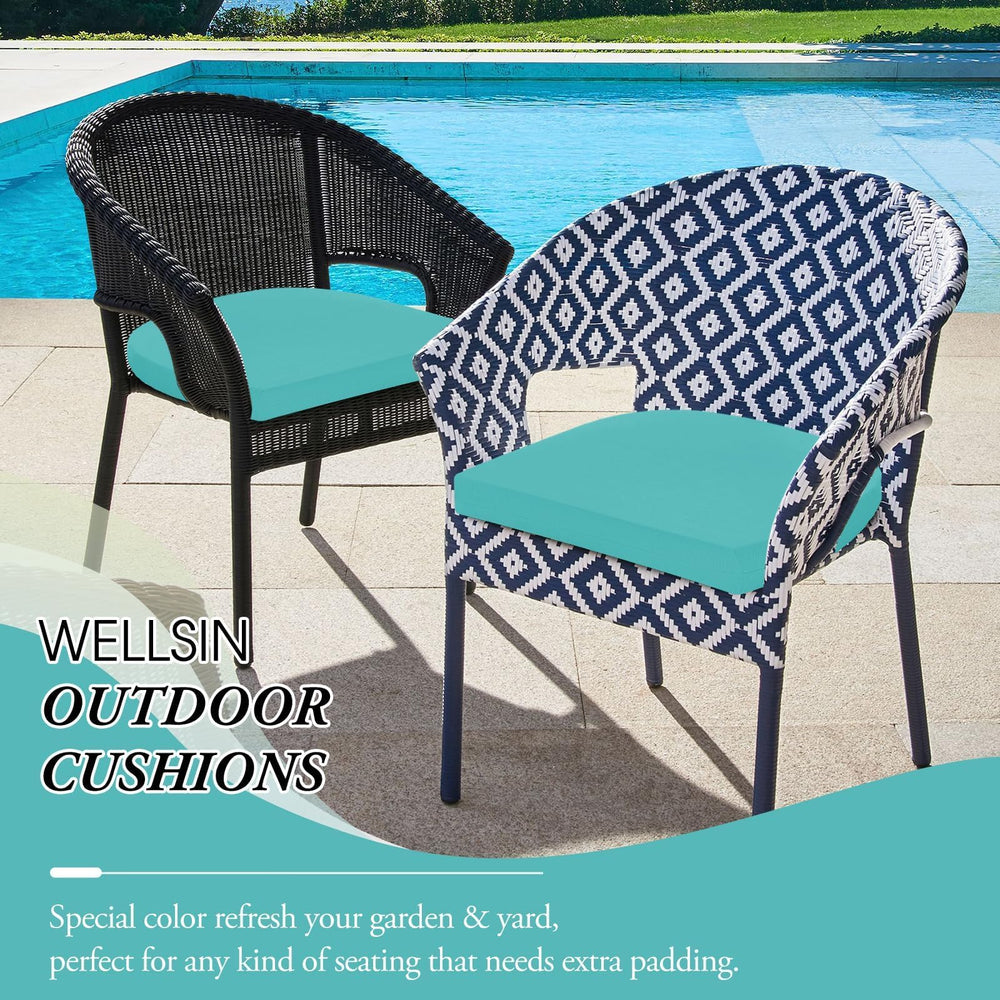 Wellsin product label and packaging showing dimensions and color information