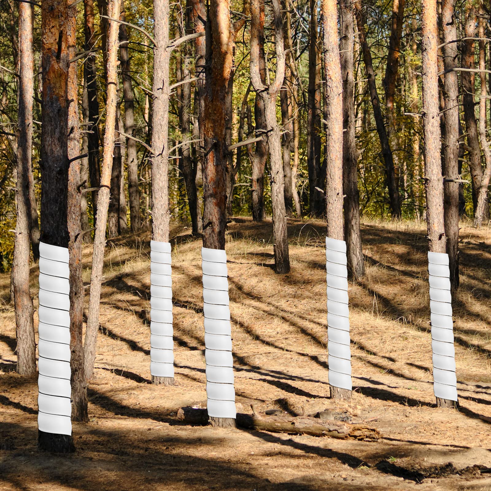 Wesiti planted row of protected saplings in garden demonstrating visible bark protection