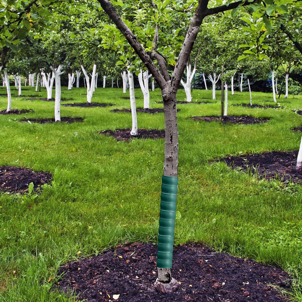 Wesiti landscape view with multiple protected trees showing uniform, discreet coverage