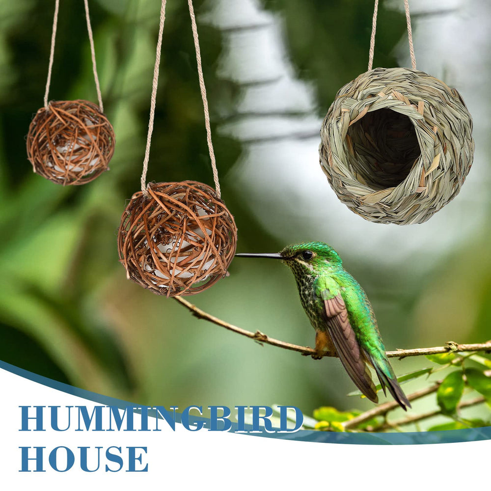 Wesiti nest beside hand and ruler illustrating compact sizes and scale