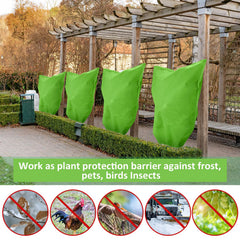 Wesnoy cover on small tree in garden showing frost protection benefit