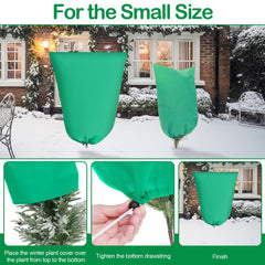 wesnoy large cover on shrub protecting leaves from frost and wind damage