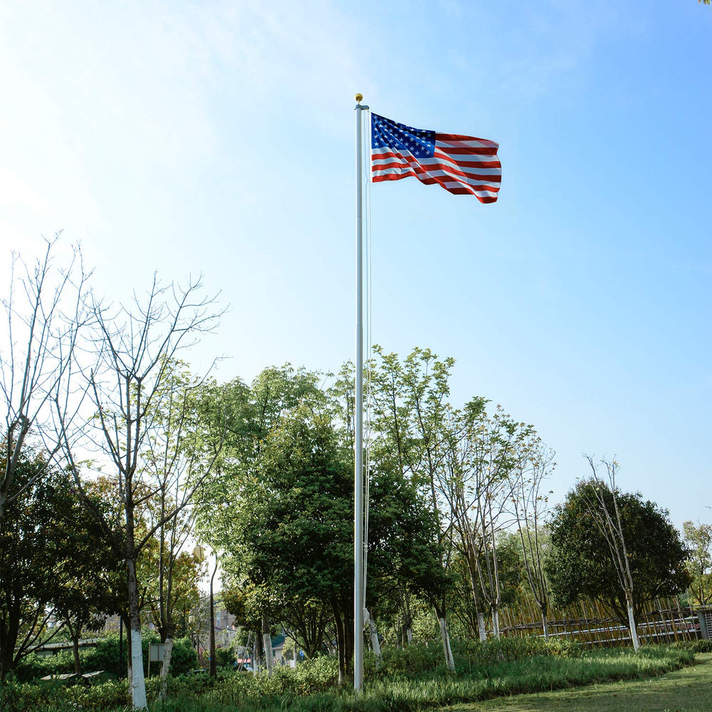 WeValor flagpole in driveway lifestyle scene showing proud display and curb appeal
