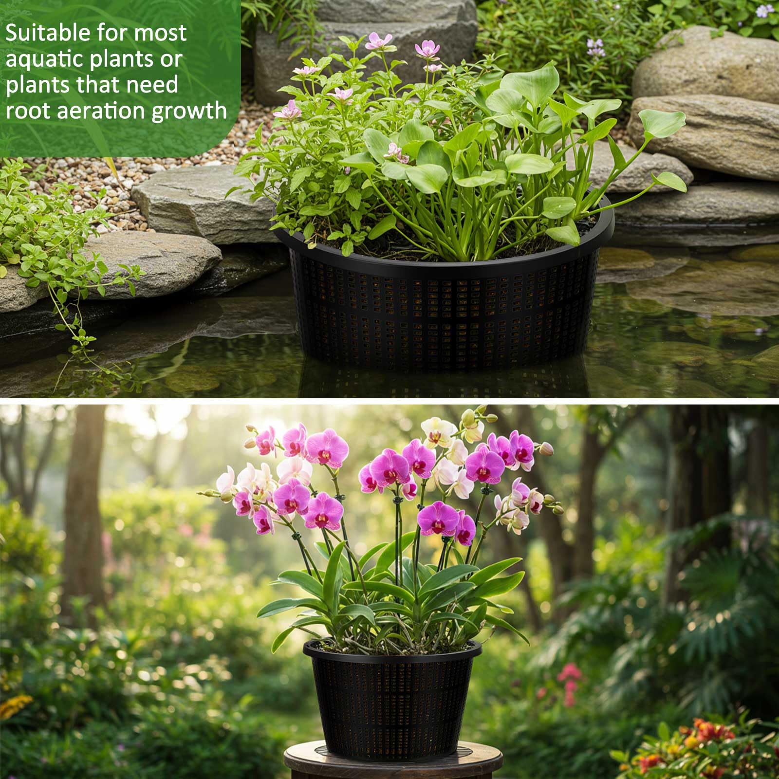 Weysat full eight-pack spread illustrating quantity for larger planting projects