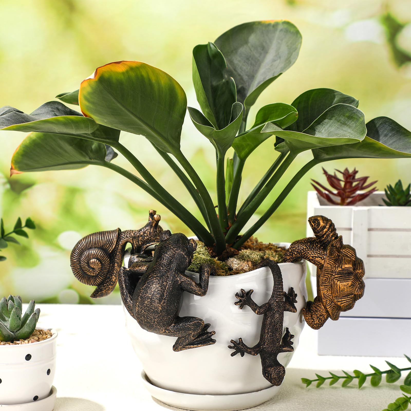 Weysat frog pot hugger perched on ceramic pot adding playful accent
