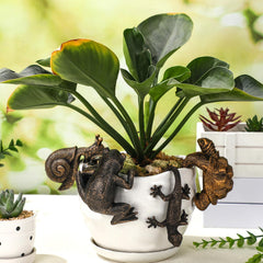 Weysat frog pot hugger perched on ceramic pot adding playful accent