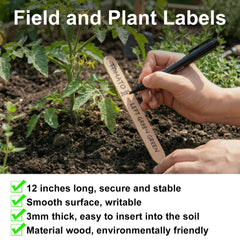 Weysat plant stake labeled in herb pot for quick identification and tidy pots