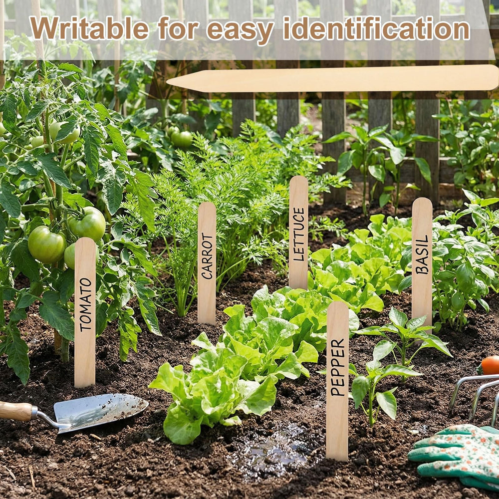 Weysat stake beside ruler demonstrating the 12-inch length for tall pots