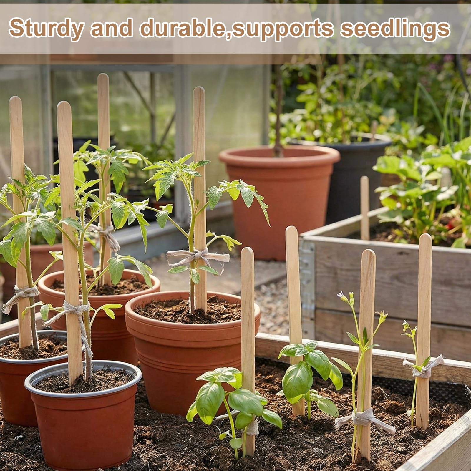 Weysat row of stakes in a garden bed improving visibility across plantings