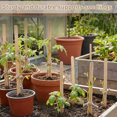 Weysat row of stakes in a garden bed improving visibility across plantings
