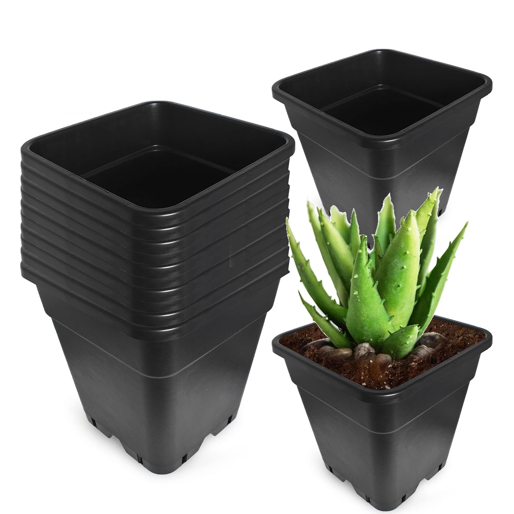 WFLNHB front view of ten square pots showing compact storage benefit