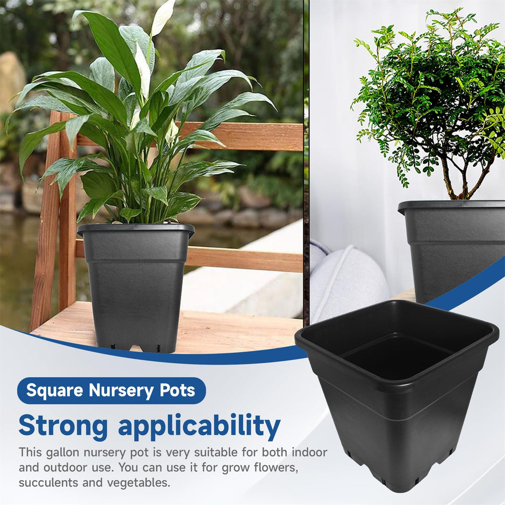 WFLNHB pot beside measuring scale showing 5-gallon capacity clarity