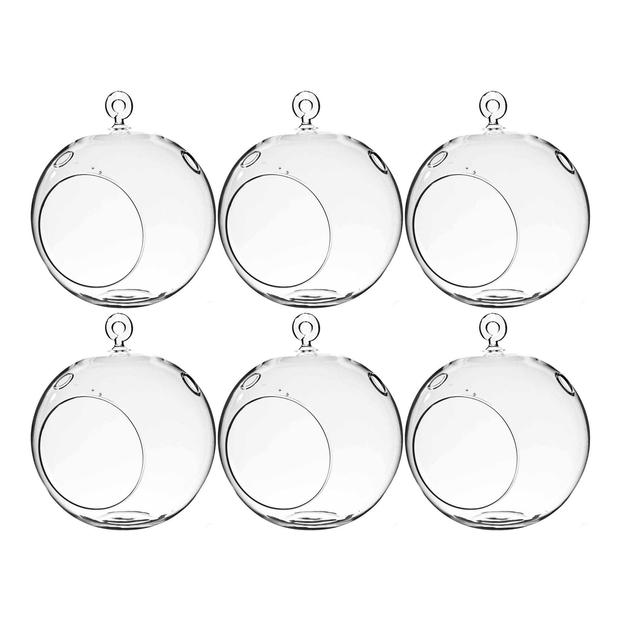 WGVI front view clear glass terrarium showing shape and hanging loop benefit aesthetic display