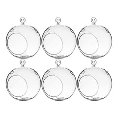 WGVI front view clear glass terrarium showing shape and hanging loop benefit aesthetic display