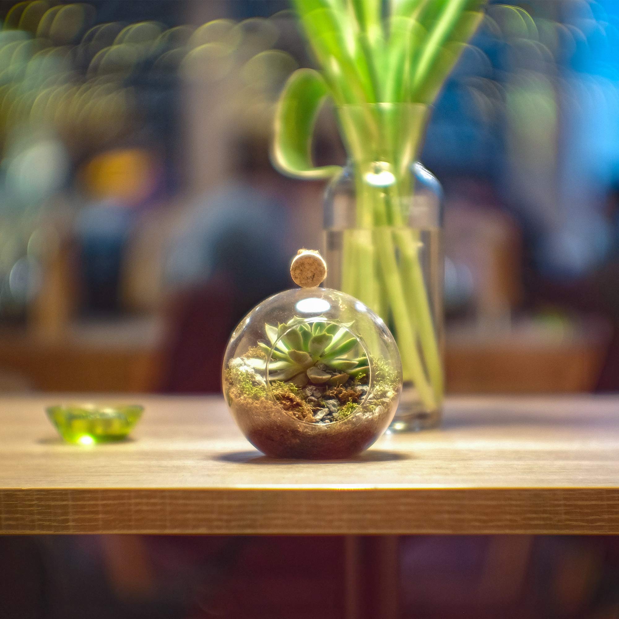 WGVI globe with LED string lights glowing showing ambiance benefit safe candle alternative