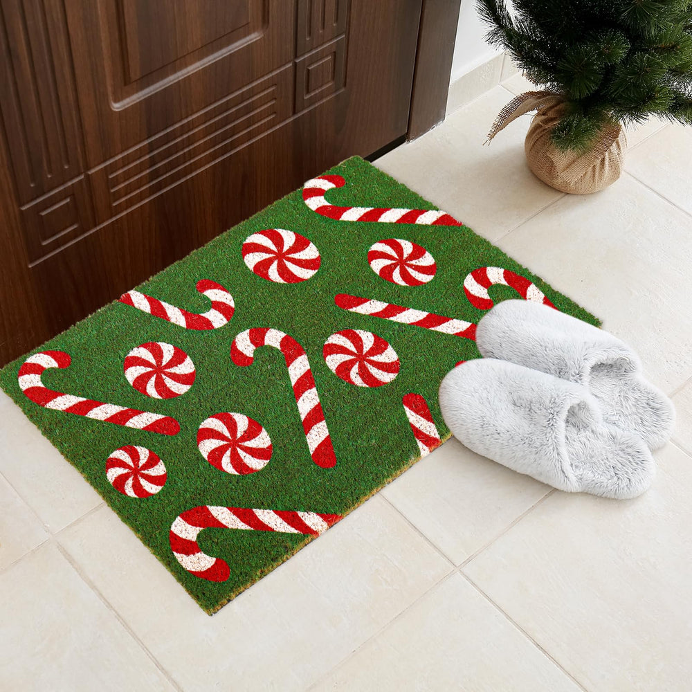 Whaline mat styled in living room adding seasonal charm and floor protection