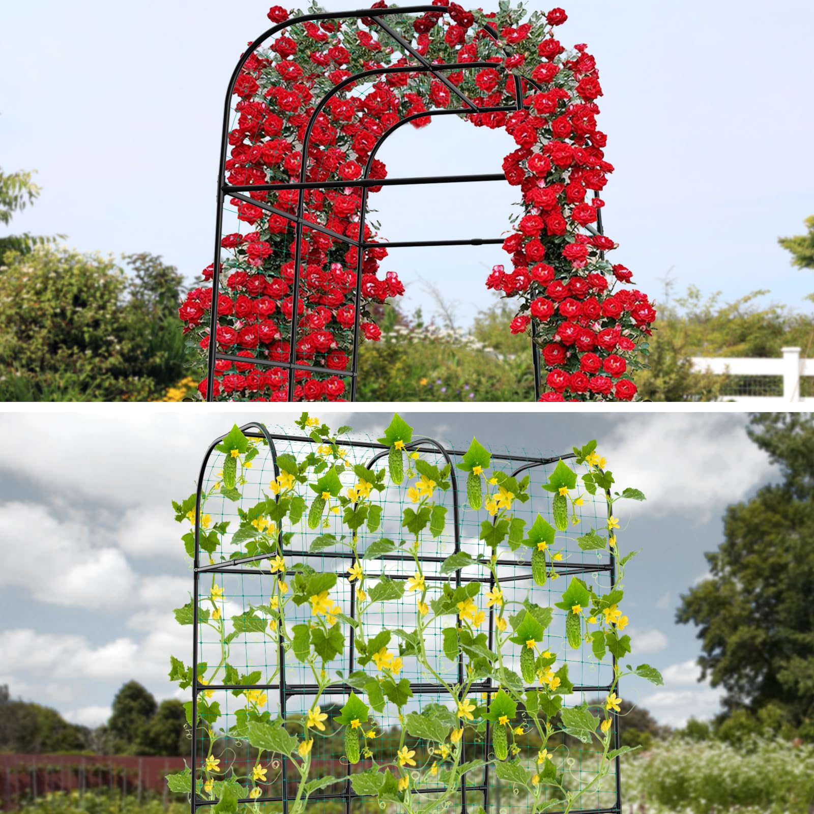 whiffee arch creating a decorative garden entry and vine display