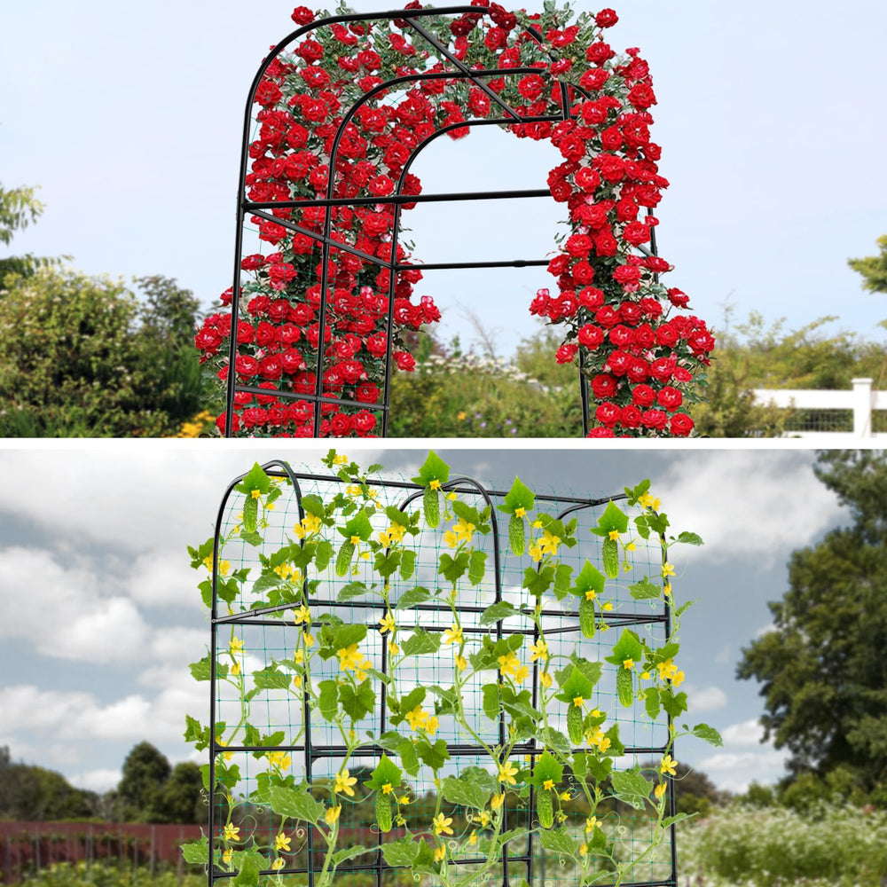 whiffee arch creating a decorative garden entry and vine display