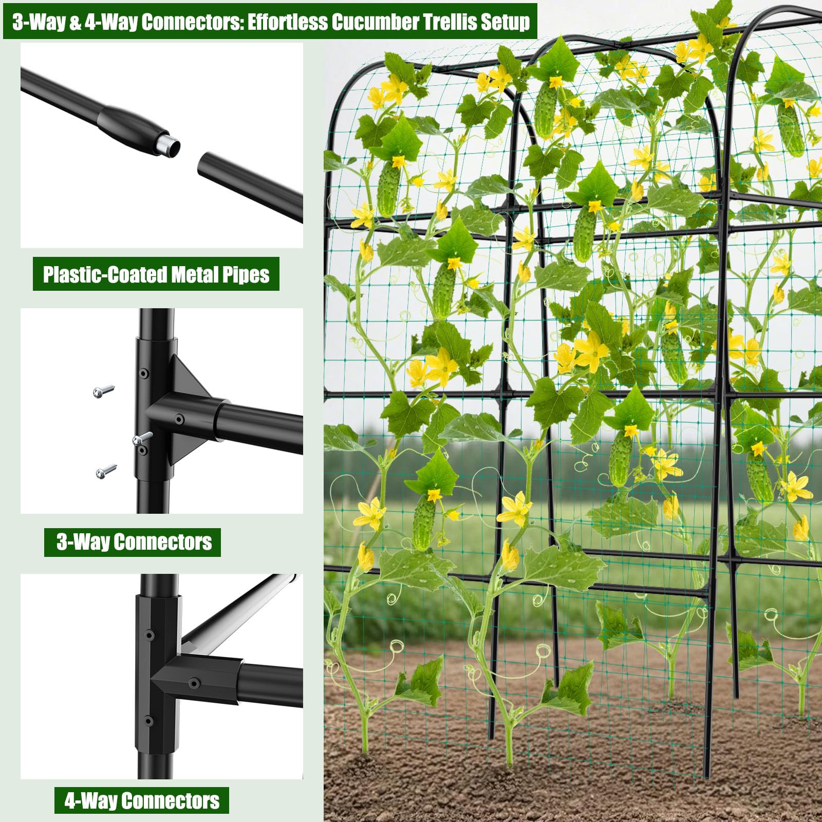 whiffee stake legs anchored in soil for stable trellis support