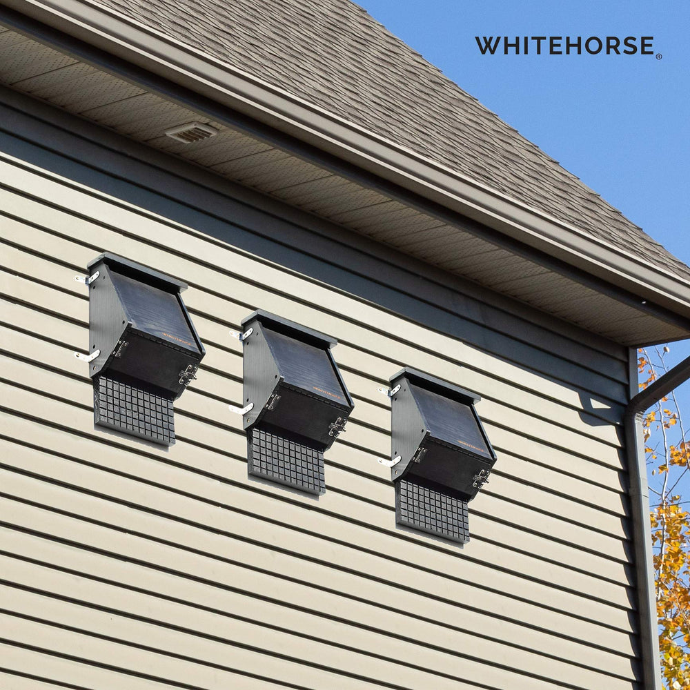 WHITEHORSE next to tape measure for scale showing correct sizing benefit