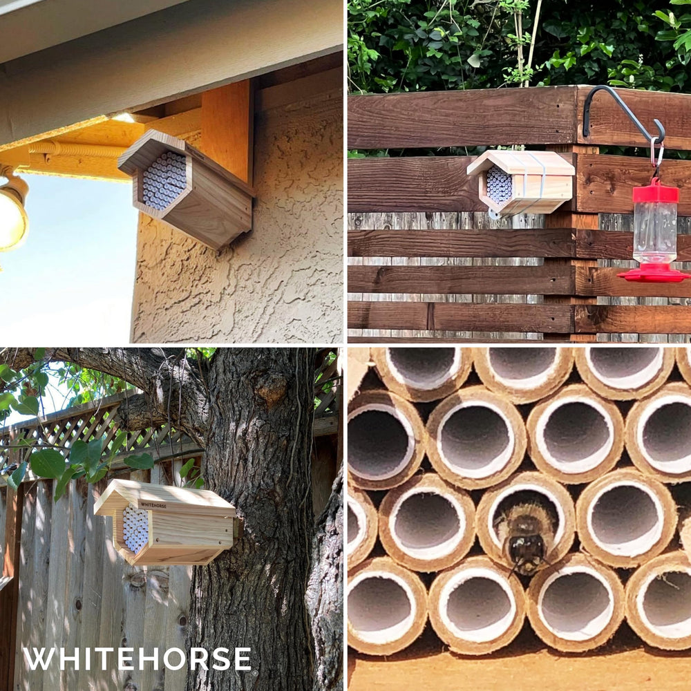 WHITEHORSE replaceable paper tubes close-up showing easy maintenance benefit