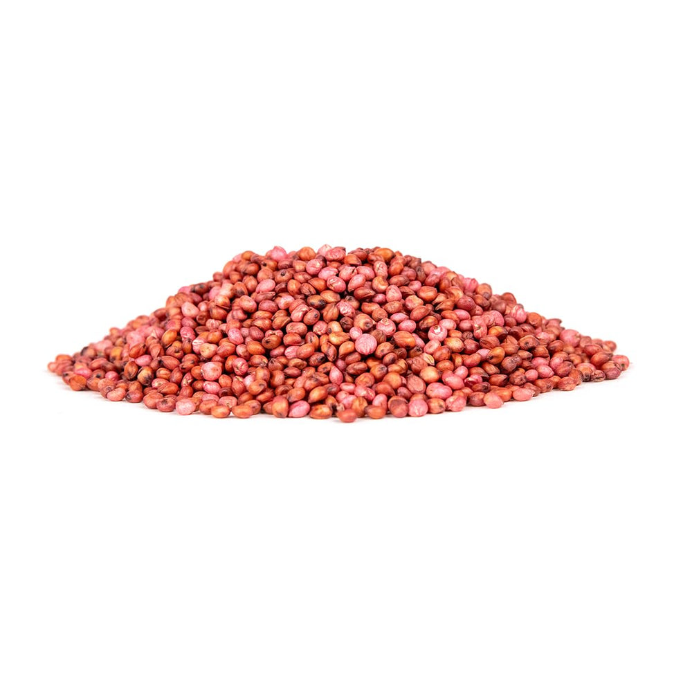 Whitetail Institute close-up of sorghum seed texture and quality, indicating high-yield potential