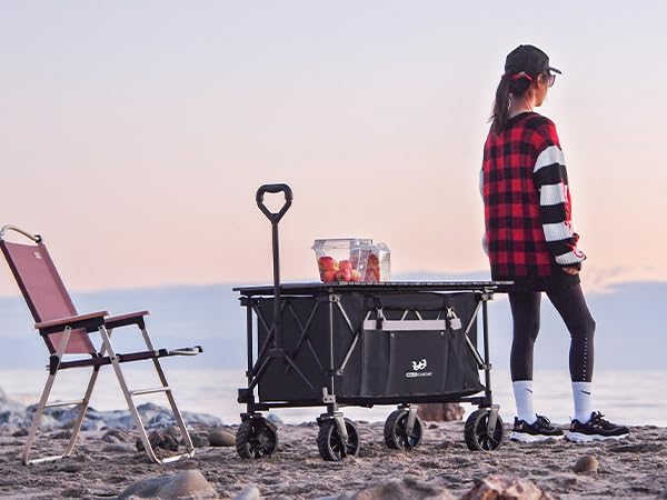 Whitsunday wagon on beach with gear showing versatile use for family outings and picnics