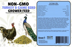 Wholesome Harvest feed served in pen with turkeys eating, promoting steady flock growth
