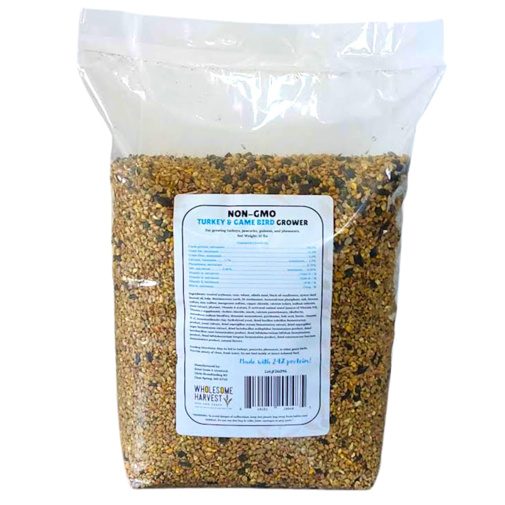 Wholesome Harvest close-up of grain texture highlighting protein-rich formula for healthy feathers