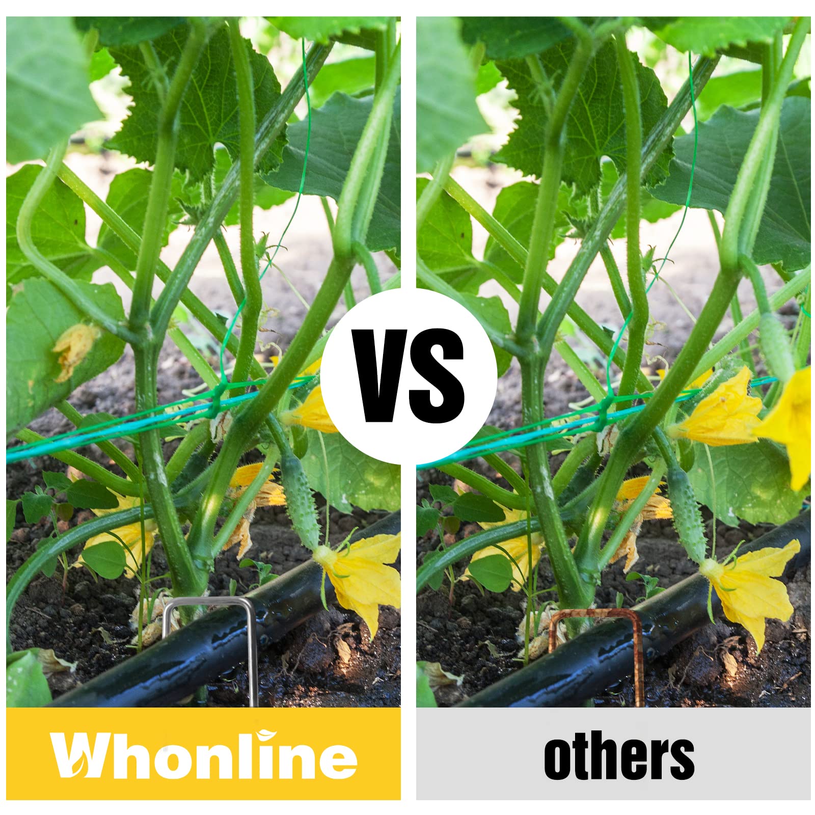 Whonline staples in use securing landscape fabric for tidy beds benefit