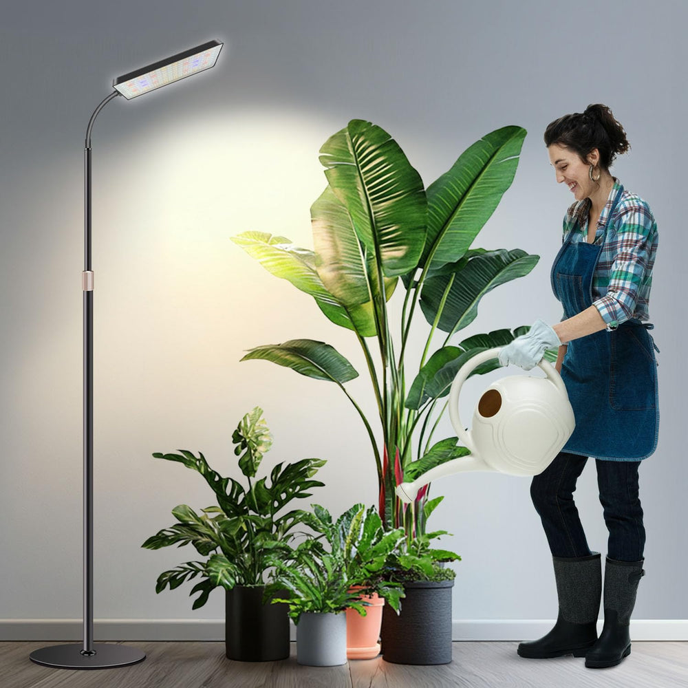 Wiaxulay floor light front view showing sleek stand and lamp head, enhances indoor plant growth