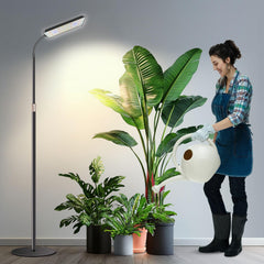 Wiaxulay floor light front view showing sleek stand and lamp head, enhances indoor plant growth