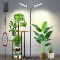 Wiaxulay front view showing full lamp and stand, enhancing plant growth