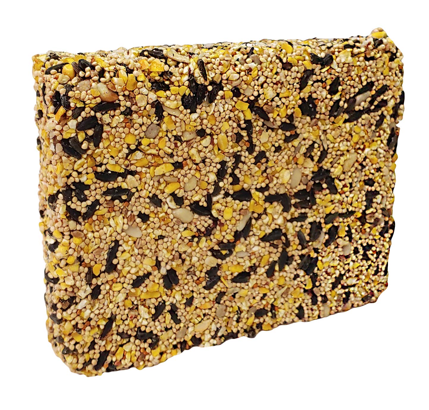 Wildlife Sciences seed bar hanging on branch attracting birds