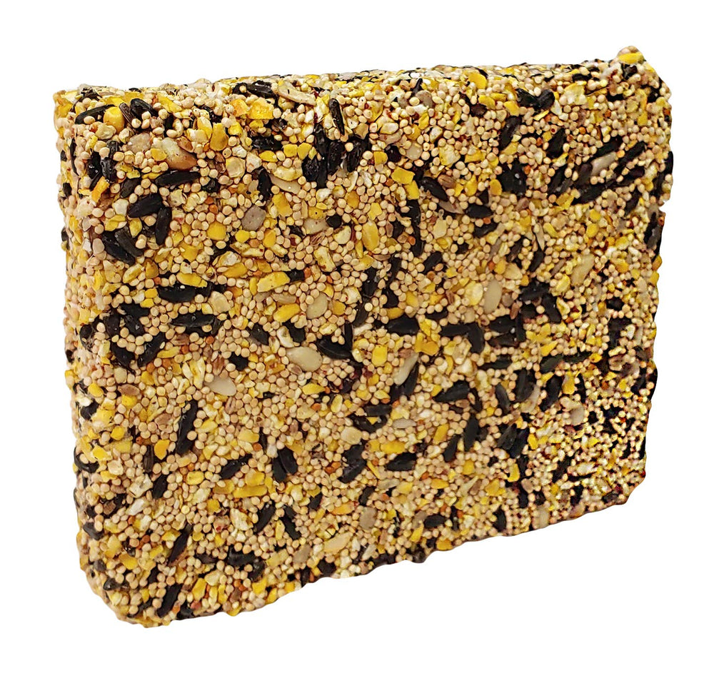 Wildlife Sciences seed bar hanging on branch attracting birds